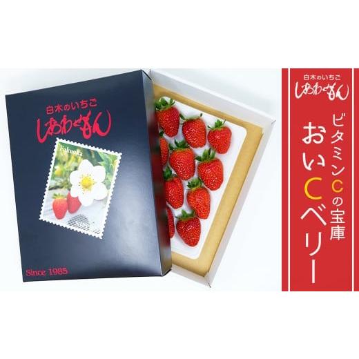 ふるさと納税 福岡県 小郡市 白木のいちご しあわせもん おいCベリー 化粧箱入