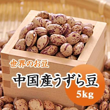 豆 うずら豆 中国産 5ｋg