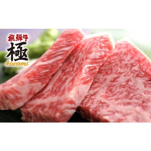 ふるさと納税 岐阜県 飛騨市 飛騨牛 サーロインステーキ ミニ ２枚 牛肉 和牛 飛騨市推奨特産品