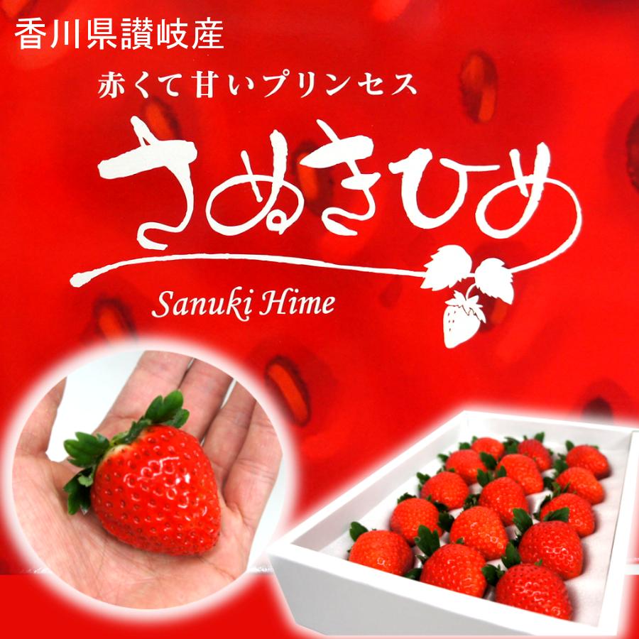 さぬきひめ イチゴ 甘い 2023 御歳暮 旬 12月 果物 食べ物 通販 送料無料 さぬき姫 DX 化粧箱 香川県産 苺 お使い物