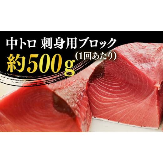 ふるさと納税 長崎県 新上五島町  五島列島産 養殖 生本かみまぐろ 中トロ ブロック 500g【カミティバリュー…