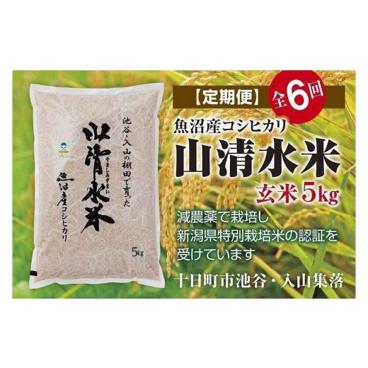 ふるさと納税 新潟県 十日町市 玄米5kg　新潟県魚沼産コシヒカリ「山清水米」