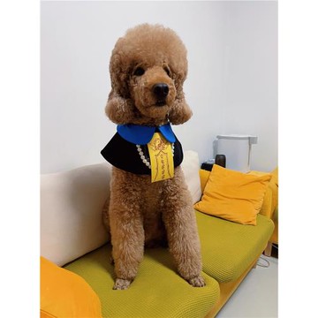 狗狗萬圣節裝扮貓咪cos裝英短披風布偶變裝道士斗篷博美古風官服