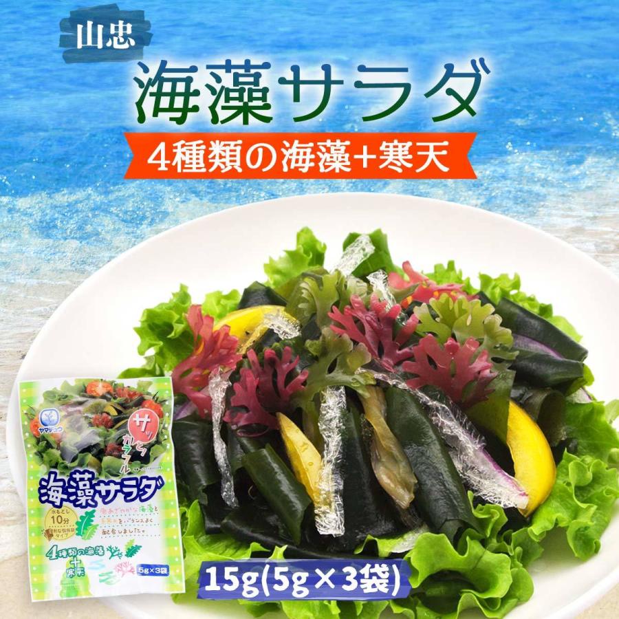 [山忠] 乾物 海藻サラダ 15g(5g×3袋) サラダ 海藻 糸かんてん 酢の物 海藻スープ つま 海藻サラダ