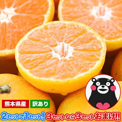 小玉 みかん 訳あり ご家庭用 送料無料 1.5kg 小粒 ミカン 柑橘 熊本 極早生 3s-sサイズ 家庭用 12月上旬〜12月下旬頃より発送予定