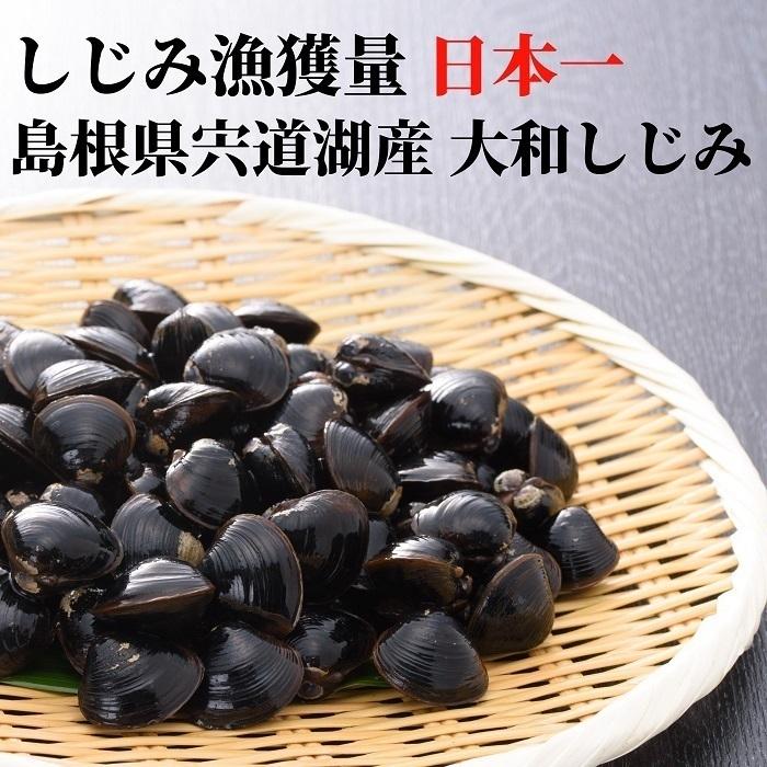 冷凍 しじみ 送料無料 砂抜き済み 特大粒 2Lサイズ 2700g（900ｇ×３）味噌汁 漁師直送 島根県 宍道湖産 大和しじみ ギフト オルニチン 亜鉛 レシピ付き