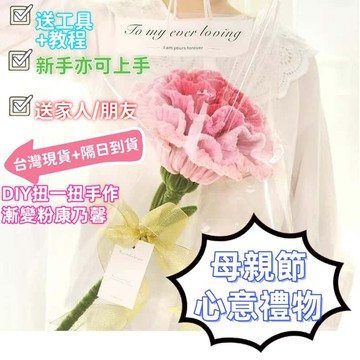 ✨臺南出貨✨巨型康乃馨花束扭扭棒DIY材料包 帶詳細教程 母親節禮物活動 自製編織永生花 幼兒園手工材料包
