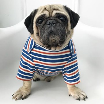 巴哥法斗衣服寵物胖狗斗牛狗狗衣服小型犬秋冬裝保暖衣服泰迪狗潮