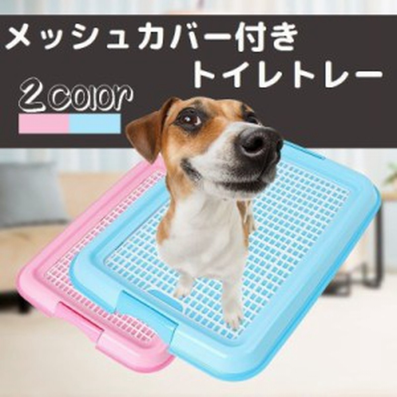 ペット用 犬用 トイレトレー メッシュカバー付き レギュラーサイズ トイレ本体 漏れしにくい 足濡れ防止 イタズラ防止 超小型犬 通販 Lineポイント最大1 0 Get Lineショッピング