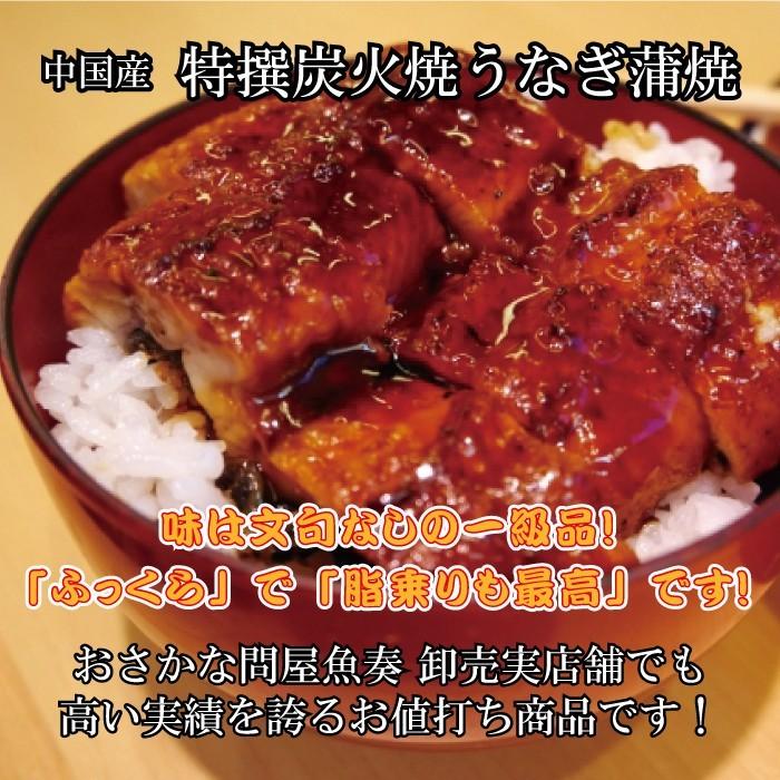 うなぎ蒲焼 切身カット 100g×5P 訳あり 真空パック 自社加工 土用 丑の日 ギフト うなぎ ウナギ 鰻 炭火  母の日 父の日 敬老 歳暮