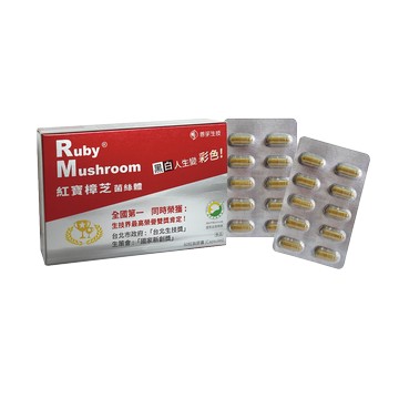 【善笙】紅寶樟芝菌絲體膠囊(60粒/盒)