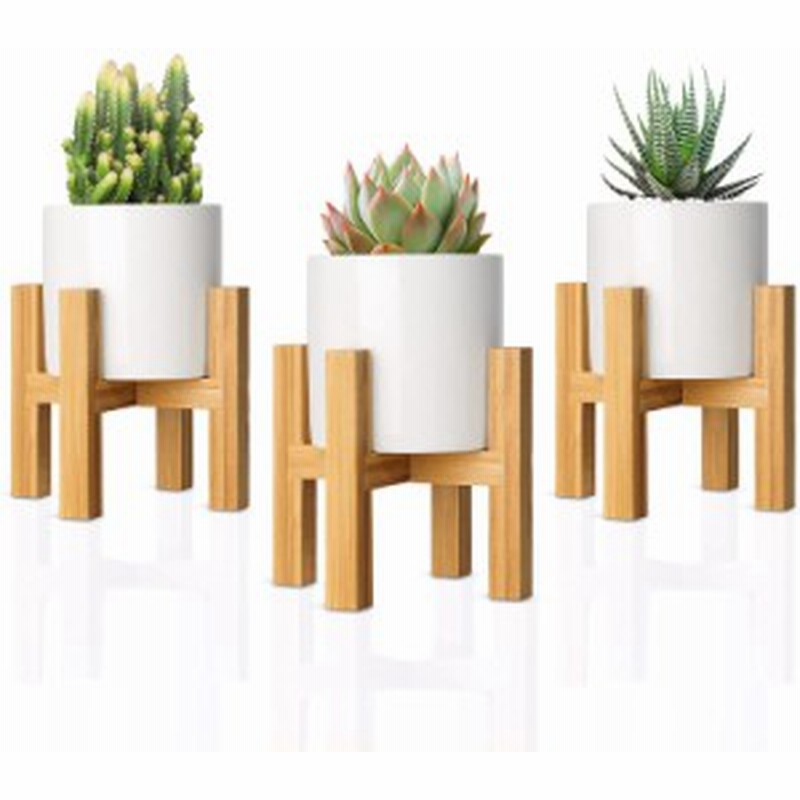 植木鉢 多肉植物鉢 陶器 寄せ植え鉢 3号鉢 サボテン鉢 竹製スタンド付き プランター 底穴付き ガーデニング 室内 インテリア ホワイト 3 通販 Lineポイント最大1 0 Get Lineショッピング