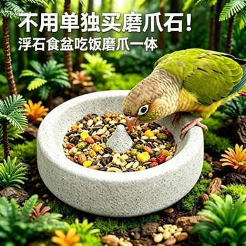 🚚限量搶購🚚鸚鵡浮石食盆磨爪磨嘴防打翻防濺小太陽和尚虎皮專用碗