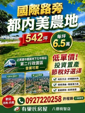 國際路旁都計內農地｜542坪 ｜桃園市桃園區皮寮段