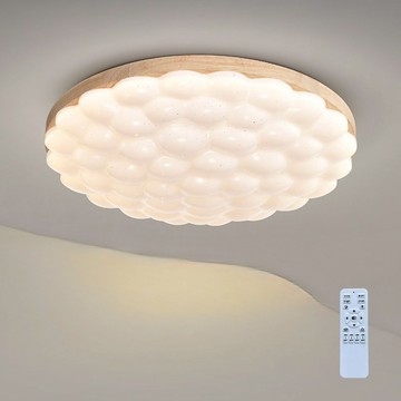 60W 遙控吸頂燈 L01-2201F