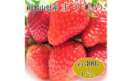 和歌山県産ブランドいちご「まりひめ」約300g×4パック入り 果物 フルーツ くだもの イチゴ 苺 オリジナル 産地直送 ※2024年2月上旬～2月下旬頃に順次発送予定※北海道・沖縄・離島への配送不可　※着日指定不可