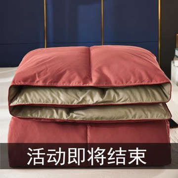 五星級酒店正品羽絲棉被被子絲綿被被芯加厚冬被春秋被輕薄被