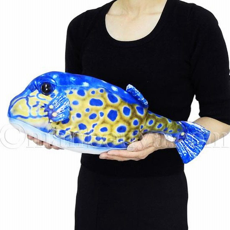 魚 ハコフグ ぬいぐるみ ふぐ リアル さかなクン おさかな