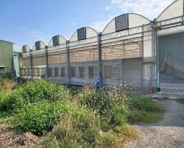 ✨✨✨鹿草合法溫室農地✨✨✨｜嘉義縣鹿草鄉麻豆店段下麻小段