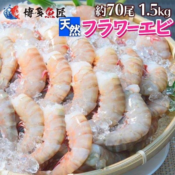 天然 海老 無頭 1.8kg 約70尾前後 フラワーエビ えび 海鮮 お取り寄せグルメ 送料無料