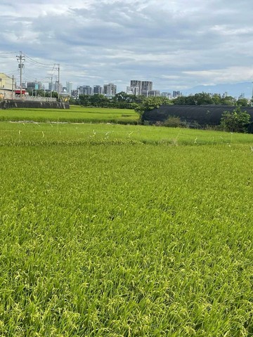 中清交流道旁豆腐地形農地｜物流車隊基地首選｜台中市大雅區神林南路