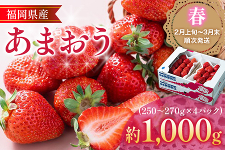 福岡産あまおう 4パック 合計約1000g~1080g 約1kg （1パックあたり約250g~約270g） いちご 苺 果物 フルーツ 九州産 福岡県産 冷蔵 送料無料 