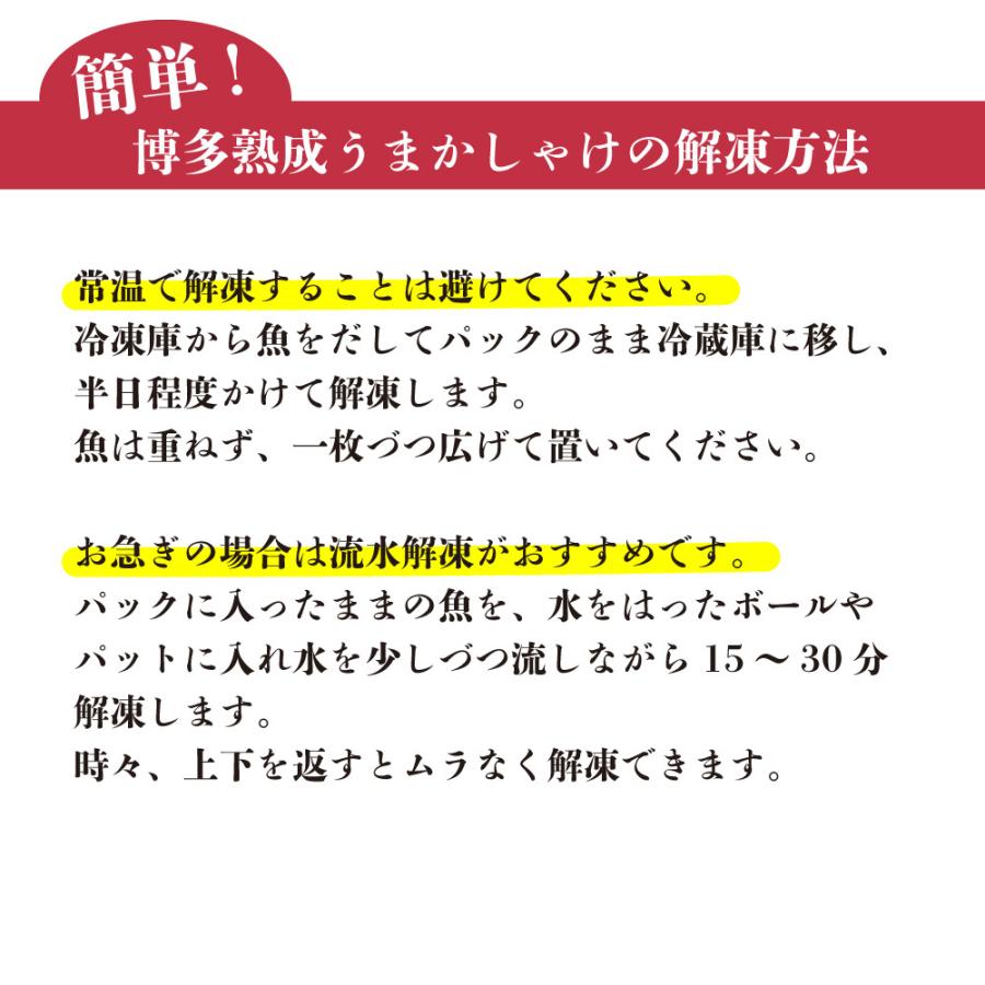 博多熟成うまかしゃけ 3枚入1パック 博多まるきた水産 あごおとし 鮭 シャケ しゃけ サケ さけ 塩鮭 切り身 福岡 博多土産 お土産 特産品