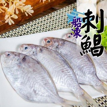 【食在好神】野生船凍刺鯧420G/包±10% /包(4隻一包)共7包