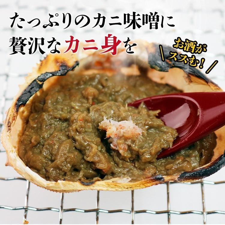 かに 蟹 カニ かにみそ 甲羅焼き 3P(100g) 珍味 カニミソ 蟹みそ かに味噌 ギフト