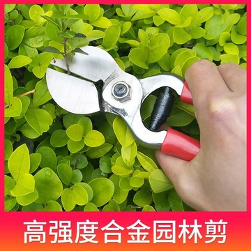 臺灣嚴選園林花藝花剪園藝修剪粗枝果樹剪樹枝剪枝修花剪刀修枝剪省力剪子