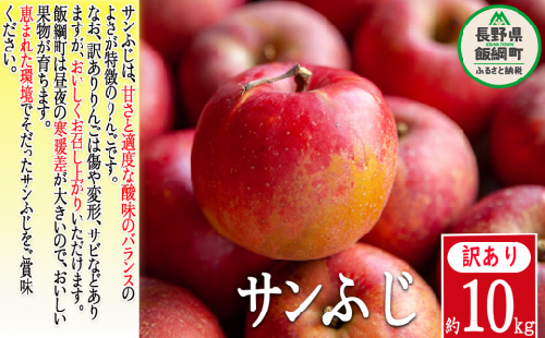 りんご 葉とらず サンふじ 訳あり 10kg かざまファーマー 沖縄県への配送不可 2023年11月中旬頃から2024年3月中旬頃まで順次発送予定 令和5年度収穫分 傷 不揃い リンゴ 林檎 果物 フルーツ 信州 長野 15000円 予約 農家直送 長野県 飯綱町 [0258]