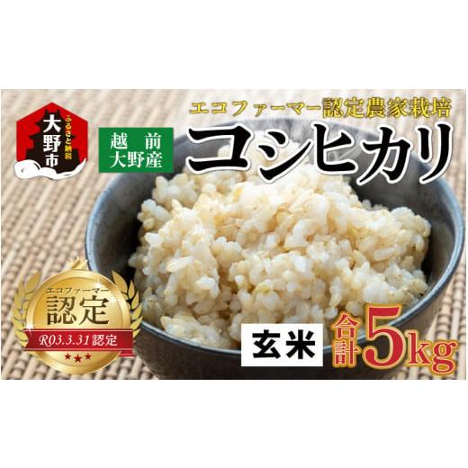 ふるさと納税 福井県 大野市 越前大野産 エコファーマー認定農家栽培 こしひかり5kg（玄米）