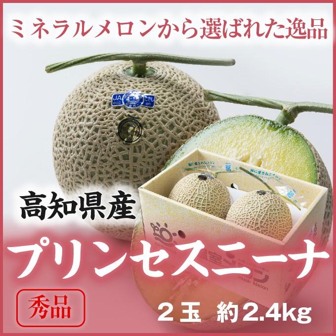 お歳暮 メロン プリンセスニーナ 秀品 1.2Kg×２玉 アールスメロン 高知県産 JA高知県 ギフト