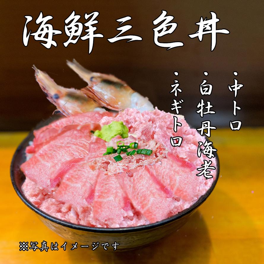 海鮮三色丼 中トロ ボタンエビ ネギトロ 3〜4人前 海鮮 丼 セット   2023 プレゼント ギフト 刺身 グルメ お祝い