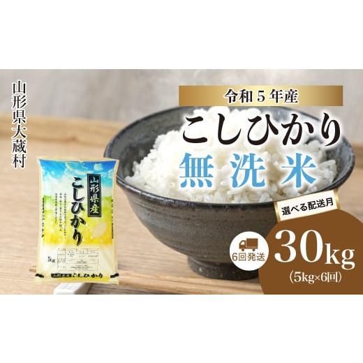 ふるさと納税 山形県 大蔵村 令和5年産 大蔵村 コシヒカリ  定期便 30kg （5kg×1か月間隔で6回お届け）