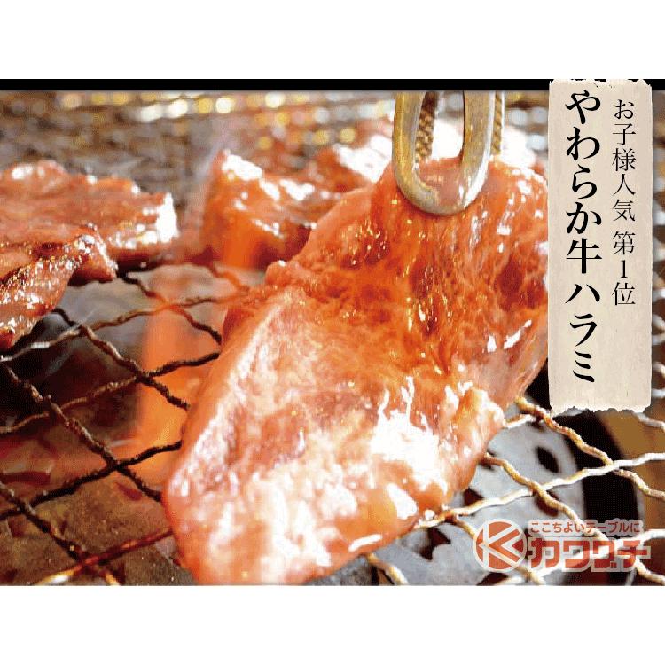 ギフト 肉 焼肉 福袋 1kg 肉 3種盛 焼肉セット 国産牛 訳あり ハラミ 豚 カルビ バーべキュー