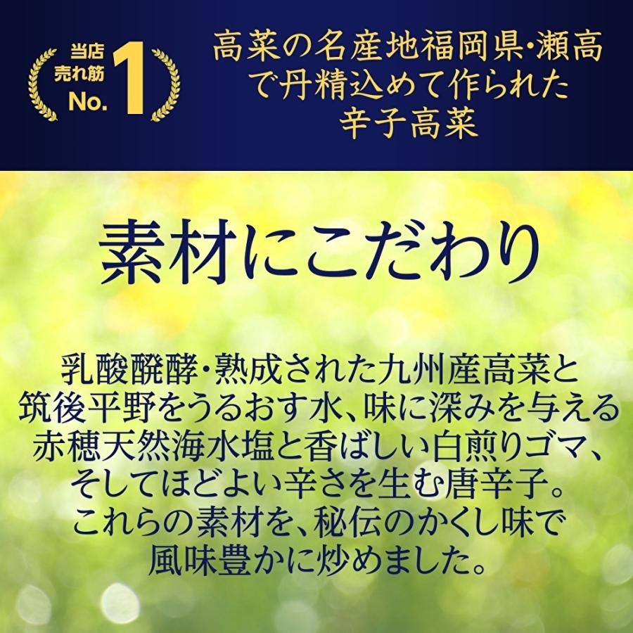 辛子高菜 九州産高菜使用 からし高菜(210g×40入) 漬物 福岡 博多 国産 まとめ買い用 大容量 業務用 送料無料