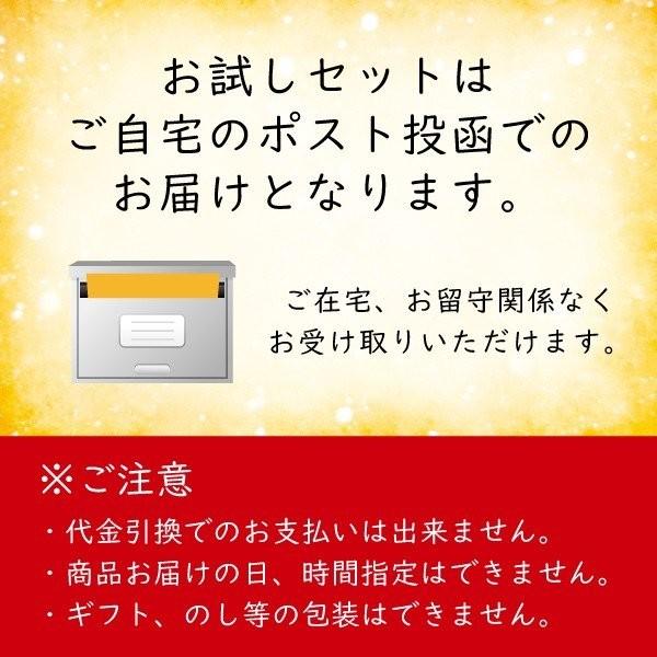 お試しセット 1000円 送料無料 むぎくらの麺 平麺 6人前 手延べ 細うどん ポイント消費 巽製粉 麦坐 OT-HT