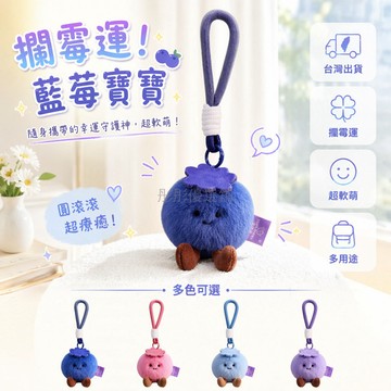 台灣出貨✨ 藍莓運毛絨公仔 攔霉運幸運掛件 包包鑰匙扣飾品 可愛擺設玩偶 送掛繩