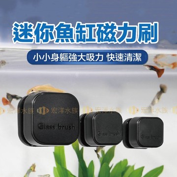 宏洋水族【JENICA迷你強吸磁力刷】輕鬆除缸壁髒污💦內外清潔兼具耐用（清潔刷 魚缸刷 缸壁刷 玻璃刷 魚缸清潔 浮力刷