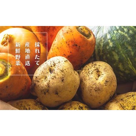 ふるさと納税 諫早産野菜の詰め合わせ(8〜9品目程度) 長崎県諫早市