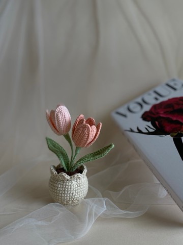 ZHII studio 手工盆花禮盒-鬱金香 針織花盆 送禮首選