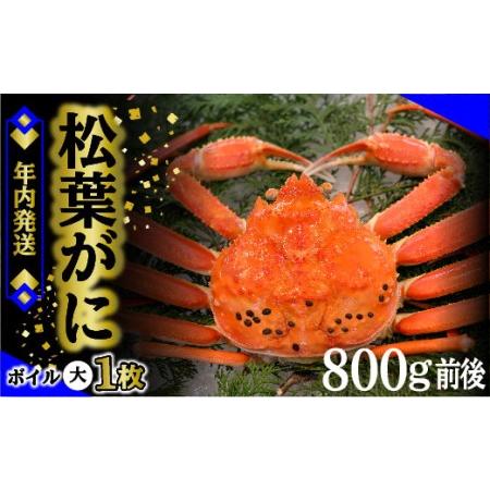 ふるさと納税 1.松葉ガニ（ボイル）大1枚　約800ｇ※着日指定不可※北海道、沖縄、一部離島への配送不可《ずわいがに　.. 鳥取県琴浦町