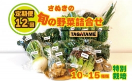 野菜 特別栽培 定期便 大容量 セット 12回 1年間 詰め合わせ 栽培期間中農薬不使用 10～15種類 旬の採れたて お野菜 詰め合わせ セット（3～4名様）