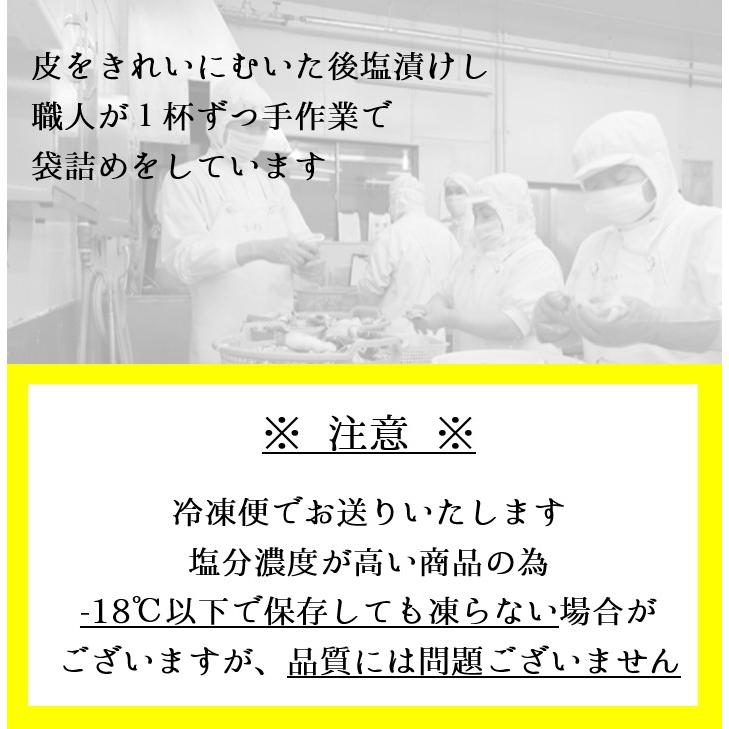 塩丸いか 180g(1本) 5パック　信州 名物  塩イカ 冷凍 国産  郷土食 塩漬け 塩丸イカ