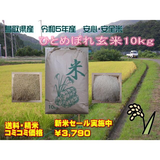 鳥取県令和5年産　新米ひとめぼれ 玄米10kg  条件付き送料無料　精米無料