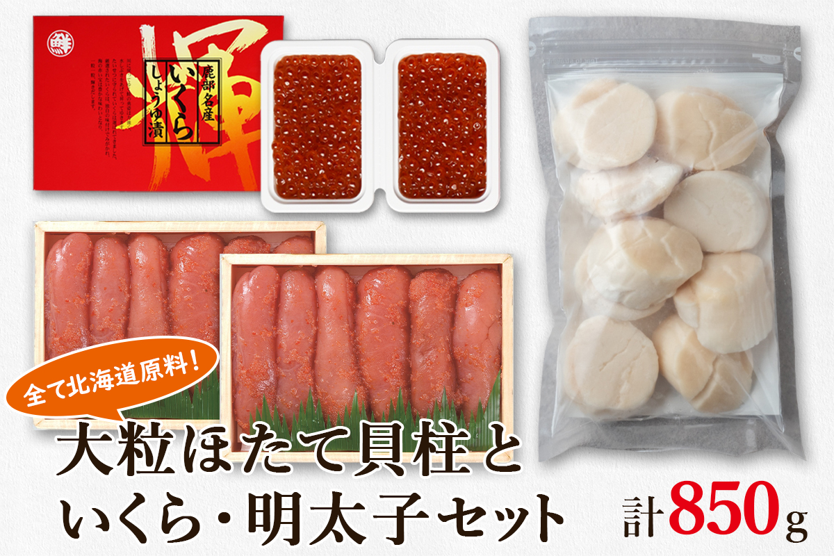 大粒ほたて貝柱250g×1 いくらしょうゆ漬け100g×2 昆布味明太子200g×2 北海道 丸鮮道場水産 詰め合わせ 小分け