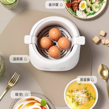 出口110V多功能煮蛋器自動蒸蛋器小型家用溫泉蛋全自動名