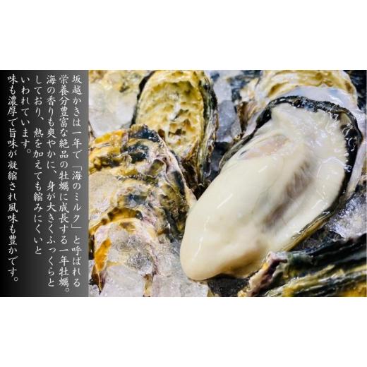 ふるさと納税 兵庫県 赤穂市 牡蠣 生食用 坂越かき 殻付き 45〜50個[ 生牡蠣 真牡蠣 かき カキ 冬牡蠣