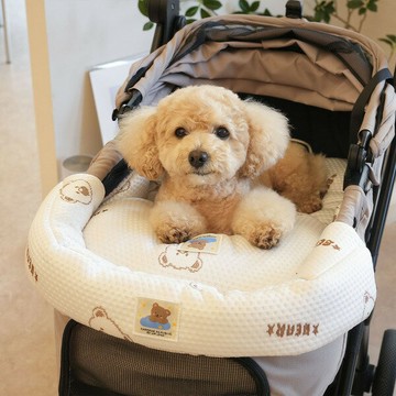 【ParisDog】小熊提花涼感推車護墊 (寵物推車座墊)